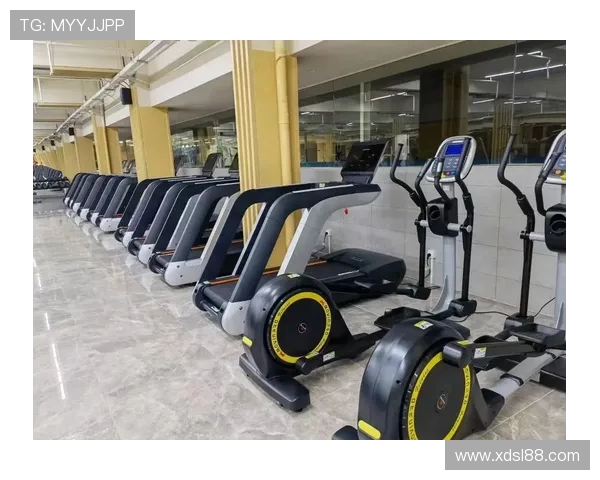 高性价比健身器材区域代理批发长期供应