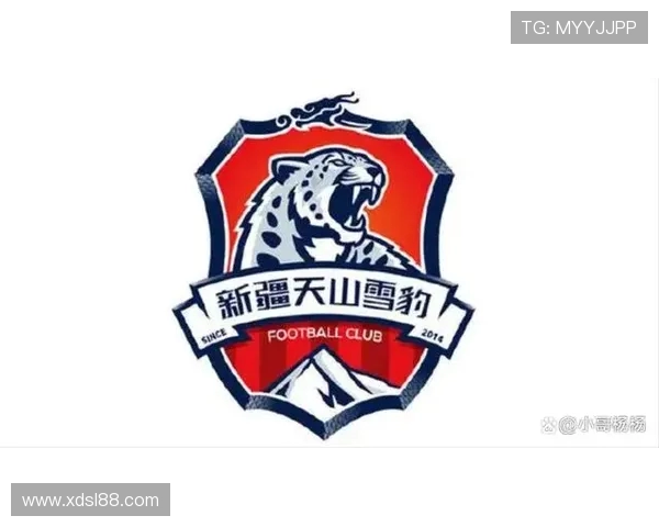 CBA是否可以设立正式的职业足球队